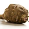 topinambur-speiseknolle-topstar-bio-sehr-schmackhafte-und-gut-vertraegliche-sorte
